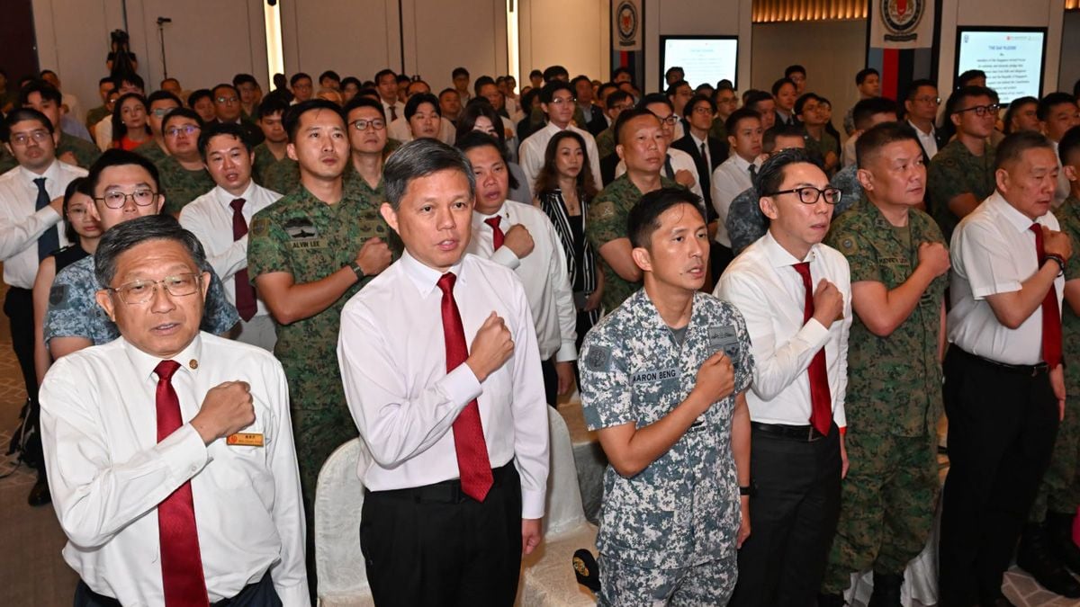 NSmen and employers reaffirm commitment to Singapore's defence at SAF Day ceremonies