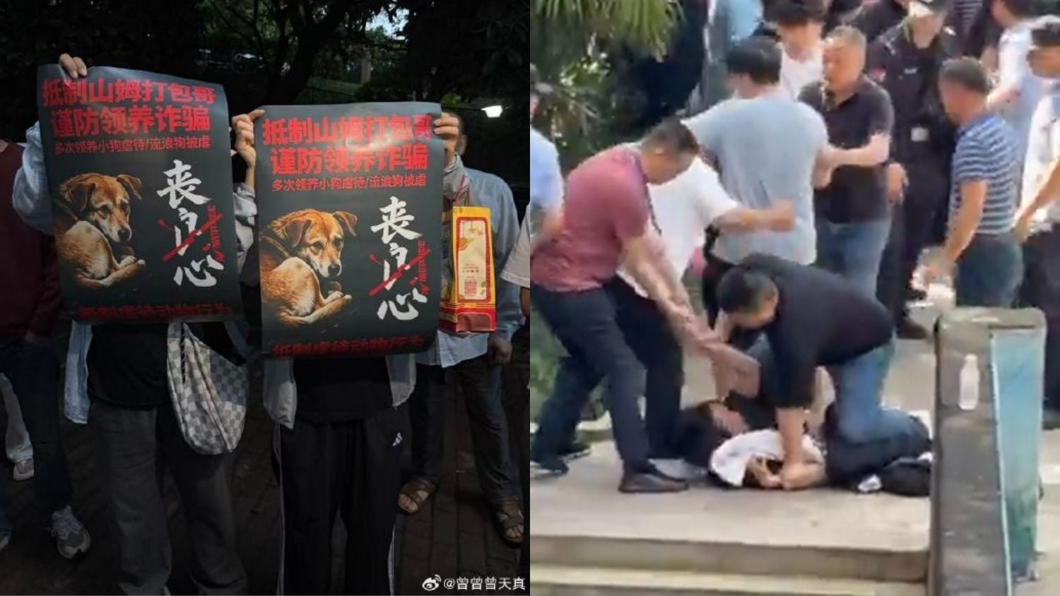 Chongqing animal abuse protests spark clashes, exposing gaps in China's animal protection laws