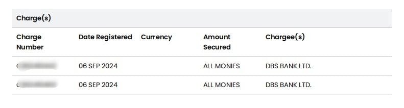 DBS Charges shown in corporate record of KPA Engineering.jpg