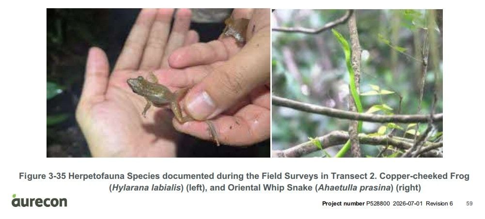 Field Faunas.jpg