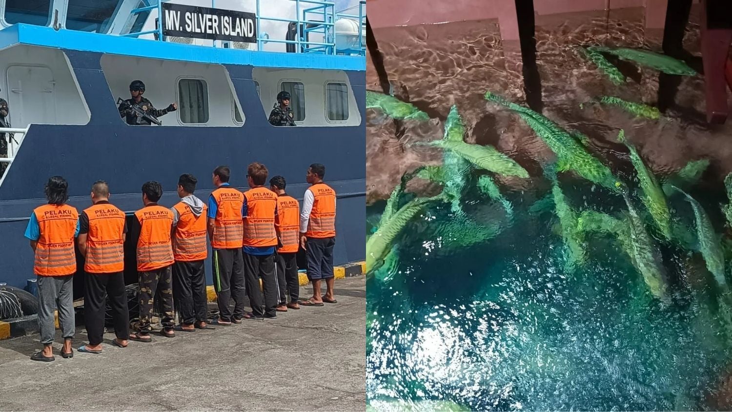 Indonesia seizes vessel carrying 1.2 tonnes of protected Napoleon fish
