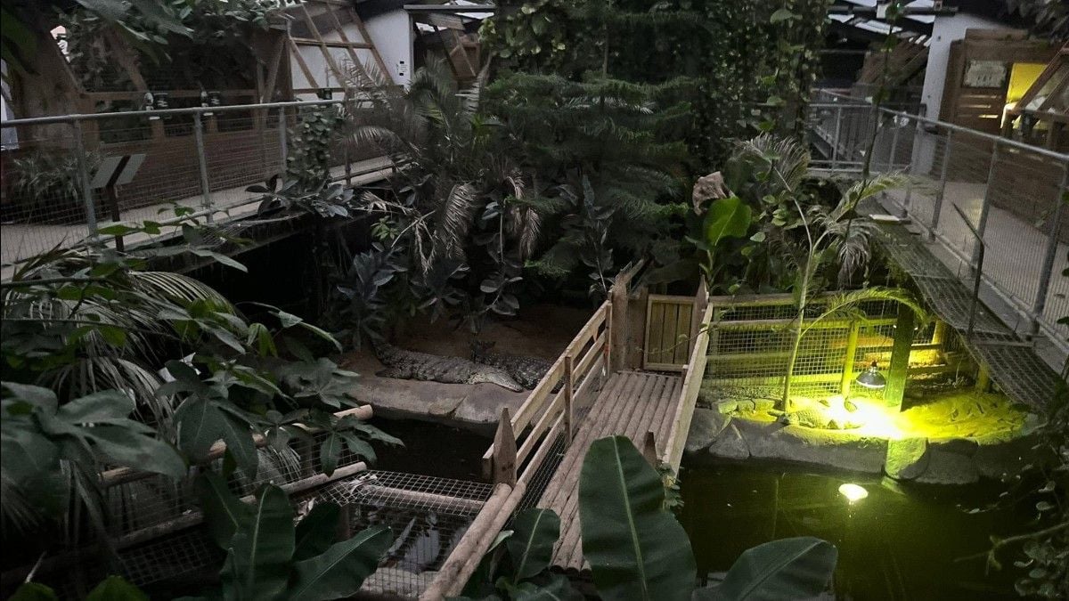 Man arrested for attempted murder after toddler critically injured in UK zoo crocodile enclosure