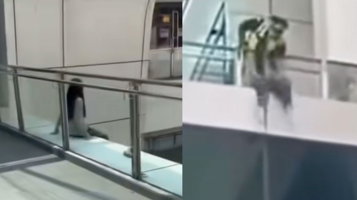 KLIA_death.jpg