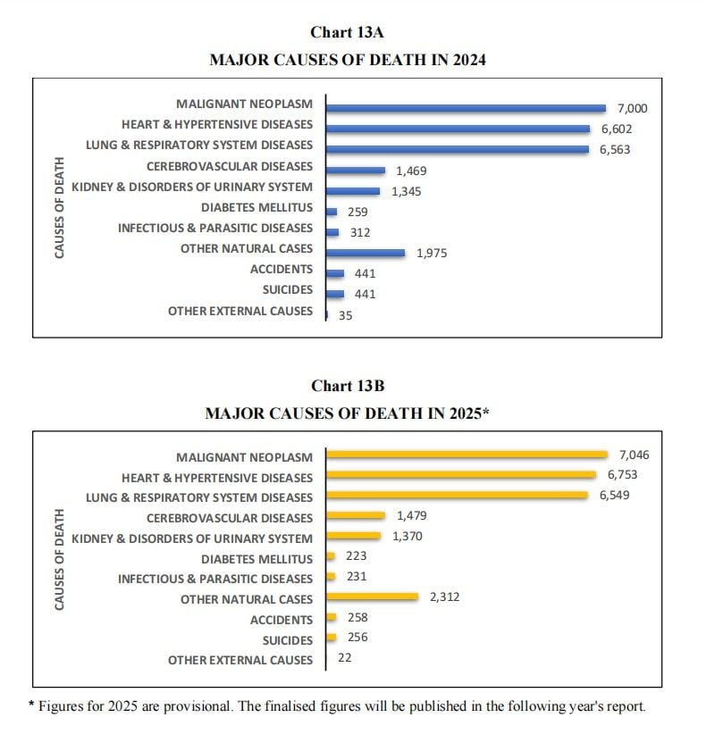 Major causes of Death in 2024.jpg
