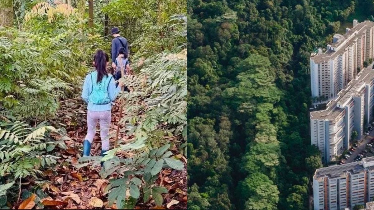 'We were heard, but were we listened to?' Petition organiser questions 17 July Maju Forest engagement session