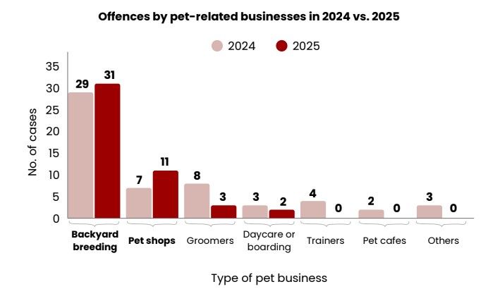 Offences by pet-related businesses in 2024 vs. 2025.jpg