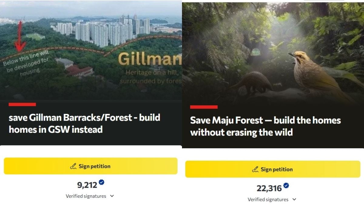 Online petitions opposing Gillman and Maju Forest housing plans surpass 31,500 endorsements