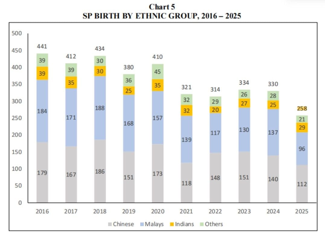 SP BIRTH BY ETHNIC GROUP, 2016 – 2025.jpg