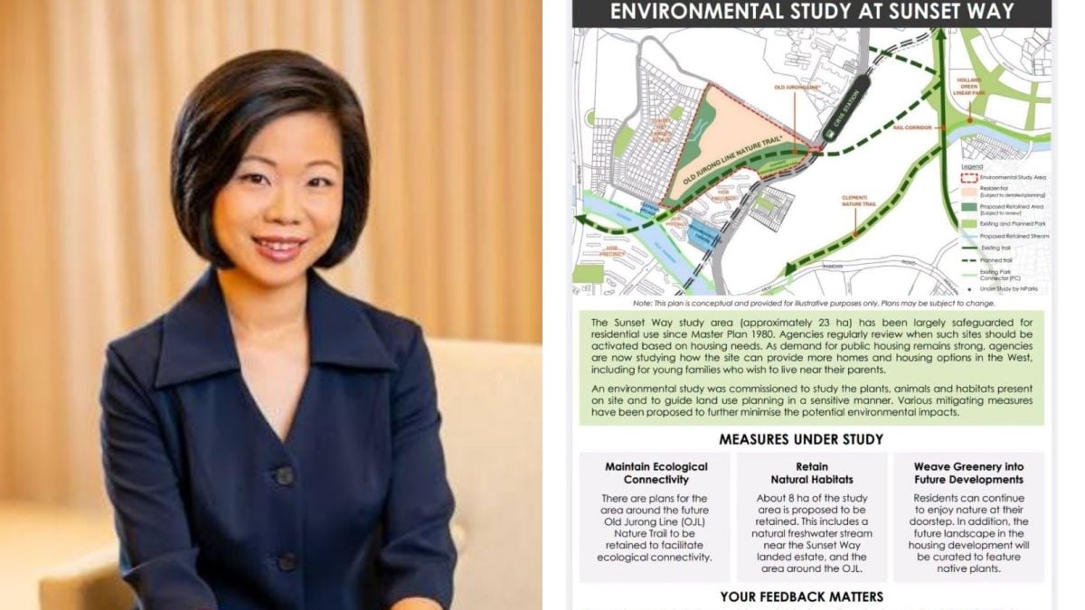Netizens challenge Sim Ann's Sunset Way housing defence, urge rethink of 1980 Master Plan over biodiversity concerns