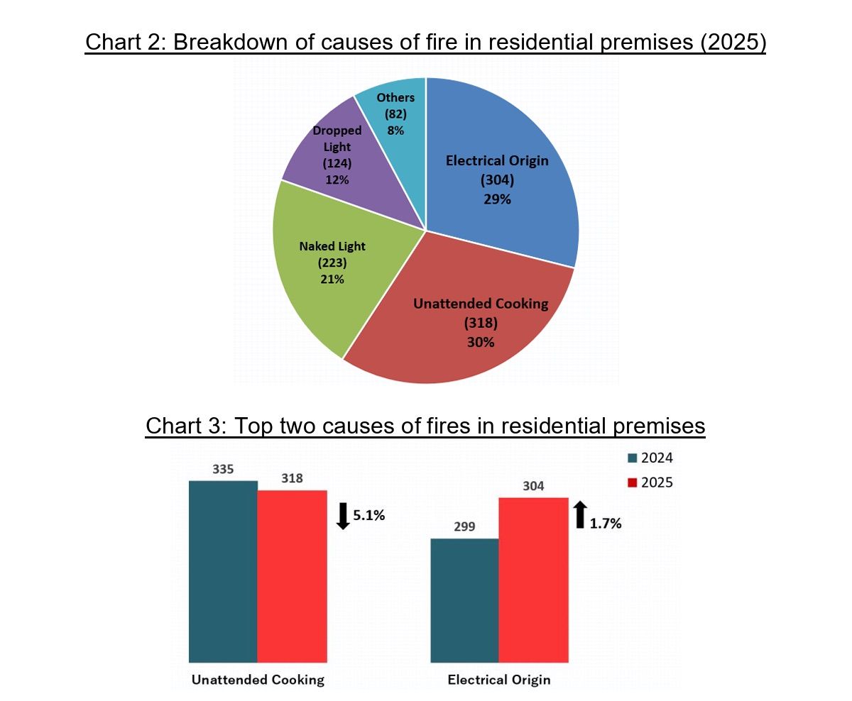 cause of fire 2025.jpg
