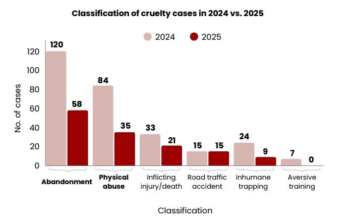 cruelty case.jpg