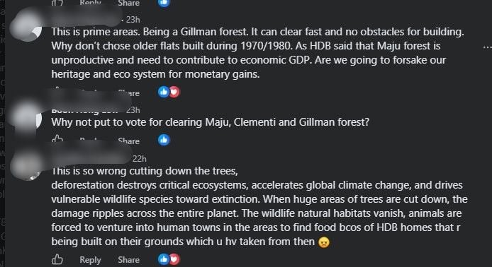 cut tree.jpg