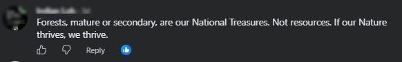 national treasure.jpg