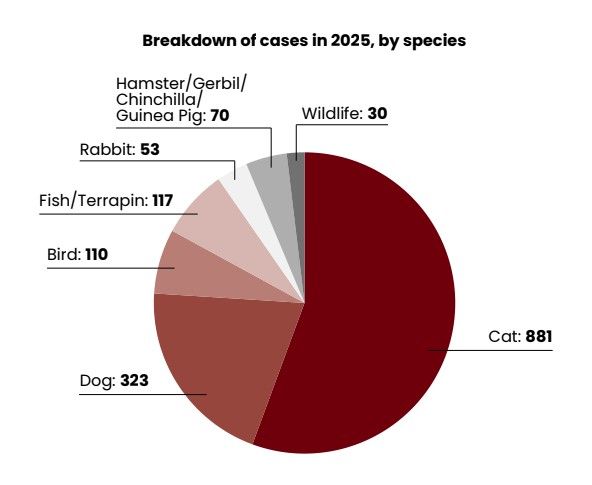 species.jpg