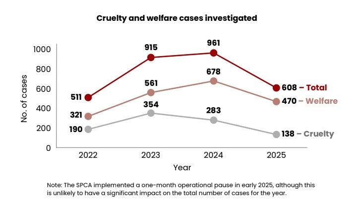welfare cases.jpg