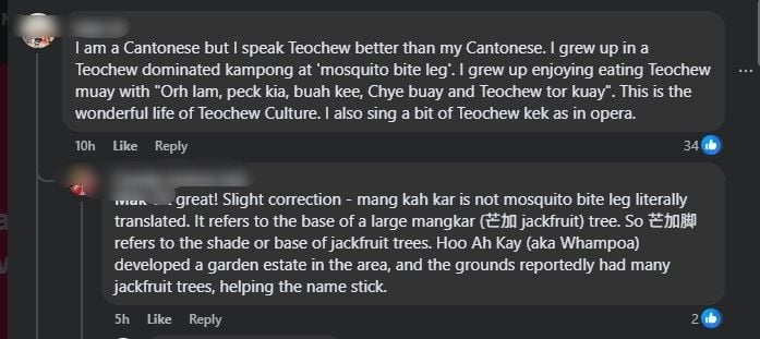 wonderful Teochew culture.jpg